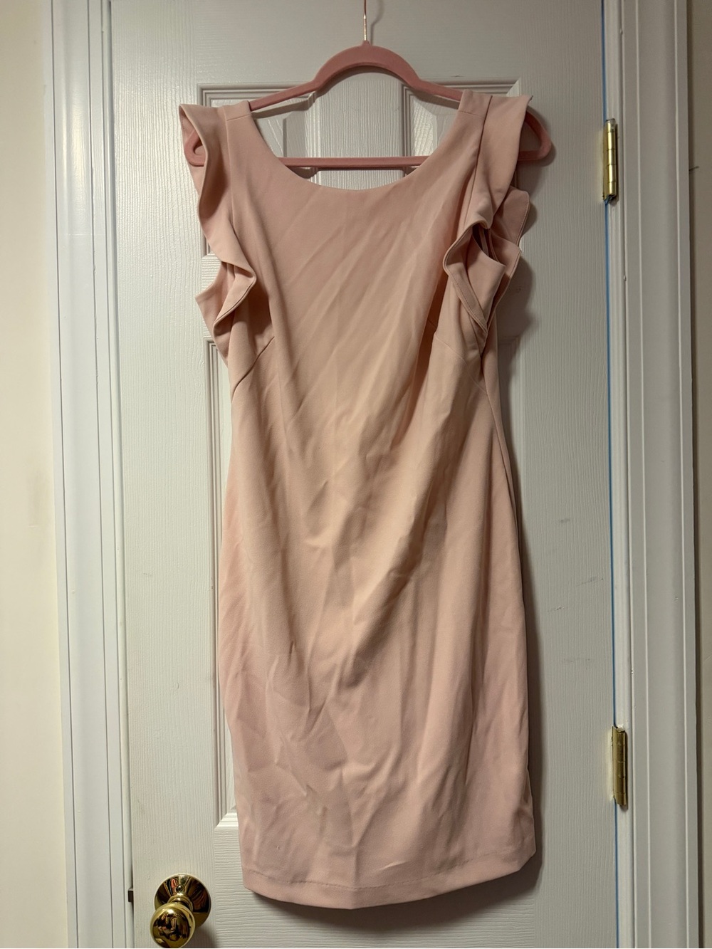 Calvin Klein Women’s Blush Pink Ruffle Sleeve Dress